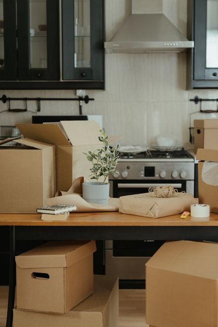 A kitchen countertop cluttered with several packed cardboard boxes in various sizes, some partially open revealing their contents, and a small potted plant with green and grey leaves positioned among