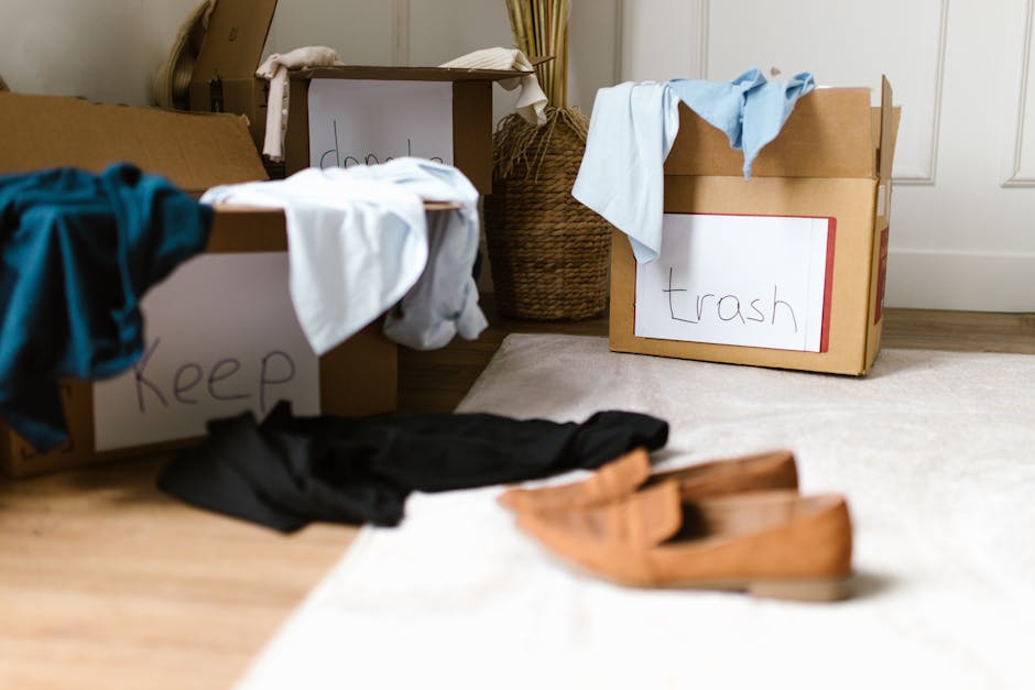 A kitchen countertop cluttered with several packed cardboard boxes in various sizes, some partially open revealing their contents, and a small potted plant with green and grey leaves positioned among